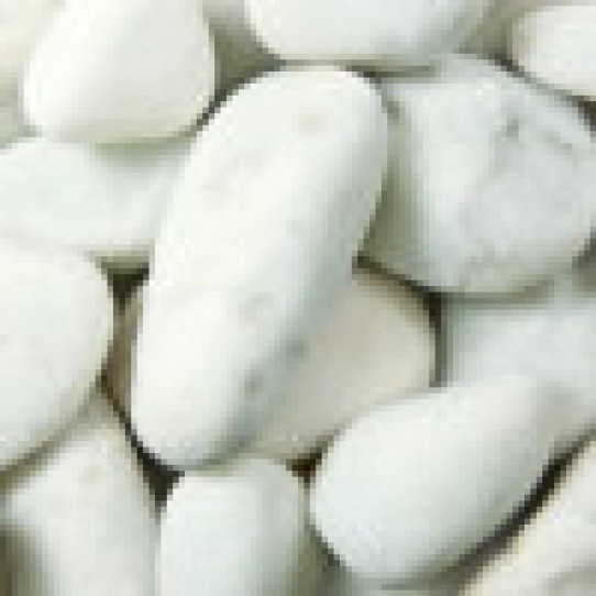 Saco 20kg 6,50€ 