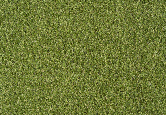CESPED IRIS 20