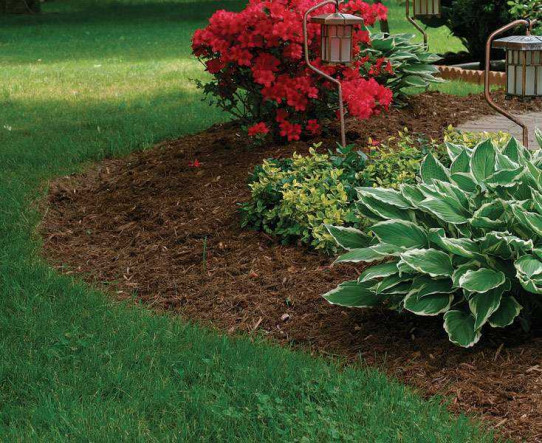 Corteza de pino decorativa 20/40 BIG-BAG
