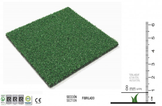GREEN PLAY 8